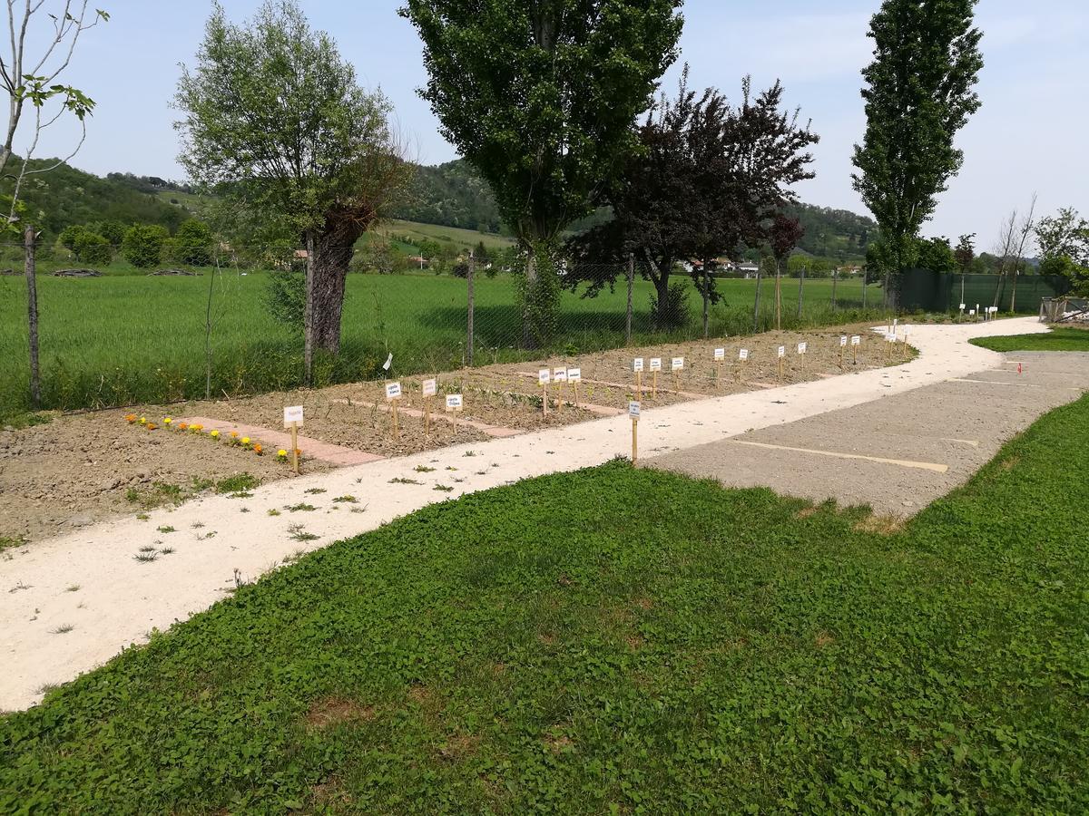 Casa In Campagna Villa Torreglia Dış mekan fotoğraf